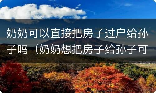奶奶可以直接把房子过户给孙子吗（奶奶想把房子给孙子可以直接过户吗）
