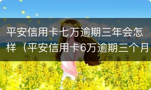 平安信用卡七万逾期三年会怎样（平安信用卡6万逾期三个月,先还两万可以吗）