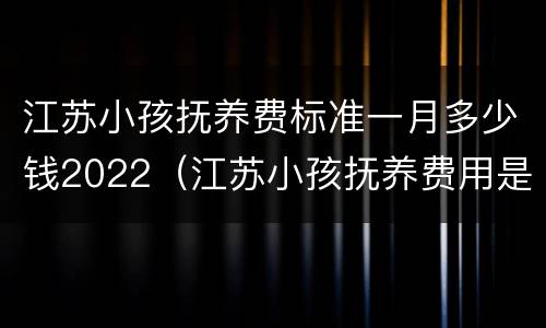 江苏小孩抚养费标准一月多少钱2022（江苏小孩抚养费用是多少）