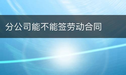 分公司能不能签劳动合同