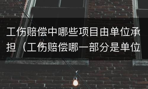 工伤赔偿中哪些项目由单位承担（工伤赔偿哪一部分是单位赔付）
