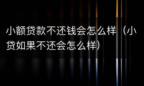 小额贷款不还钱会怎么样（小贷如果不还会怎么样）