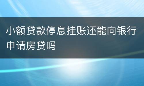 小额贷款停息挂账还能向银行申请房贷吗
