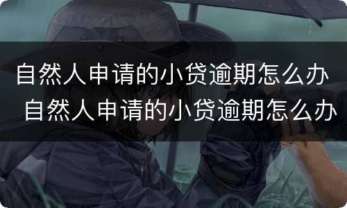 自然人申请的小贷逾期怎么办 自然人申请的小贷逾期怎么办