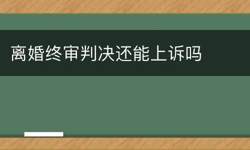 离婚终审判决还能上诉吗