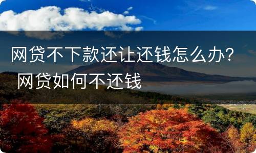 网贷不下款还让还钱怎么办？ 网贷如何不还钱