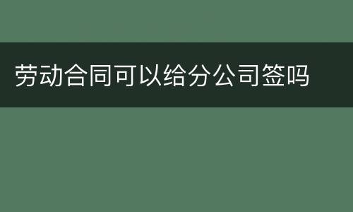 劳动合同可以给分公司签吗