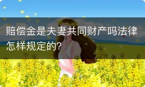 赔偿金是夫妻共同财产吗法律怎样规定的？