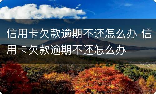 信用卡欠款逾期不还怎么办 信用卡欠款逾期不还怎么办