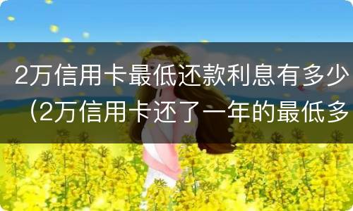 2万信用卡最低还款利息有多少（2万信用卡还了一年的最低多少钱）