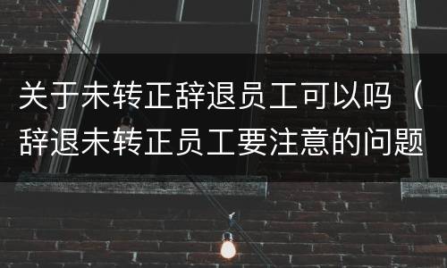 关于未转正辞退员工可以吗（辞退未转正员工要注意的问题）