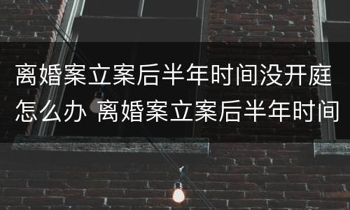 离婚案立案后半年时间没开庭怎么办 离婚案立案后半年时间没开庭怎么办呢