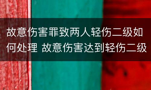 故意伤害罪致两人轻伤二级如何处理 故意伤害达到轻伤二级应负什么责任?