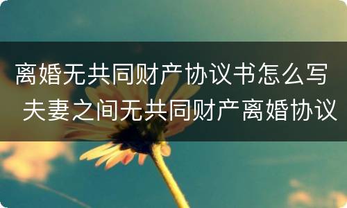 离婚无共同财产协议书怎么写 夫妻之间无共同财产离婚协议怎么写