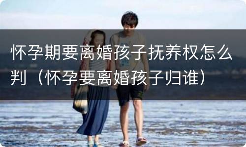 怀孕期要离婚孩子抚养权怎么判（怀孕要离婚孩子归谁）