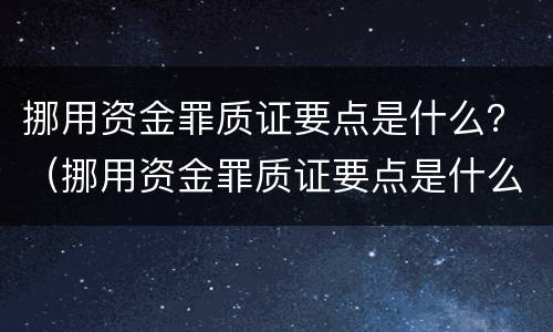 挪用资金罪质证要点是什么？（挪用资金罪质证要点是什么意思）