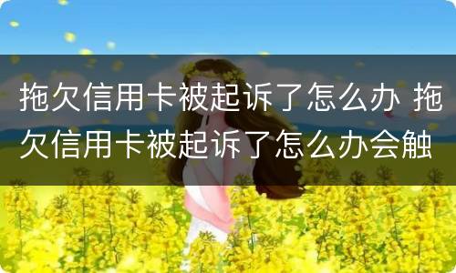 拖欠信用卡被起诉了怎么办 拖欠信用卡被起诉了怎么办会触犯刑法吗