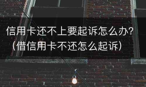 信用卡还不上要起诉怎么办？（借信用卡不还怎么起诉）