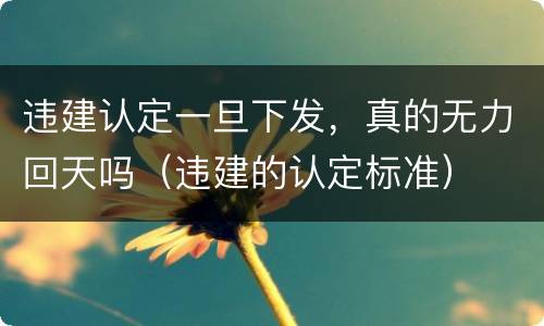 违建认定一旦下发，真的无力回天吗（违建的认定标准）