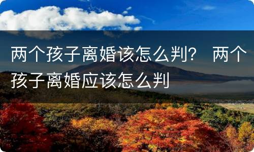 两个孩子离婚该怎么判？ 两个孩子离婚应该怎么判