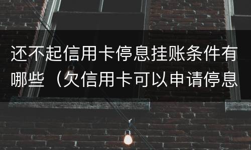 还不起信用卡停息挂账条件有哪些（欠信用卡可以申请停息挂账吗）