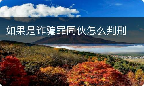 如果是诈骗罪同伙怎么判刑