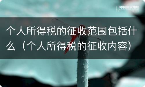 个人所得税的征收范围包括什么（个人所得税的征收内容）