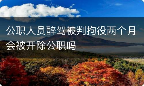 公职人员醉驾被判拘役两个月会被开除公职吗
