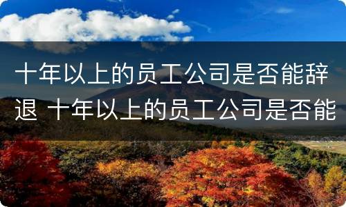 十年以上的员工公司是否能辞退 十年以上的员工公司是否能辞退我