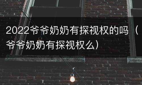 2022爷爷奶奶有探视权的吗（爷爷奶奶有探视权么）