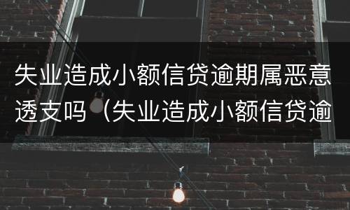 失业造成小额信贷逾期属恶意透支吗（失业造成小额信贷逾期属恶意透支吗怎么办）