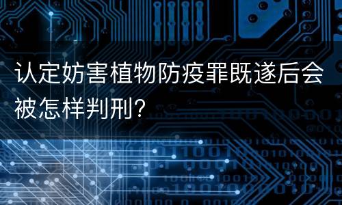 认定妨害植物防疫罪既遂后会被怎样判刑?