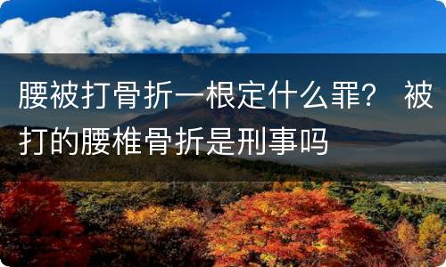 腰被打骨折一根定什么罪？ 被打的腰椎骨折是刑事吗