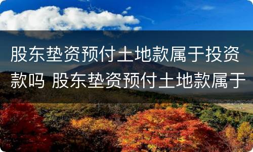 股东垫资预付土地款属于投资款吗 股东垫资预付土地款属于投资款吗为什么