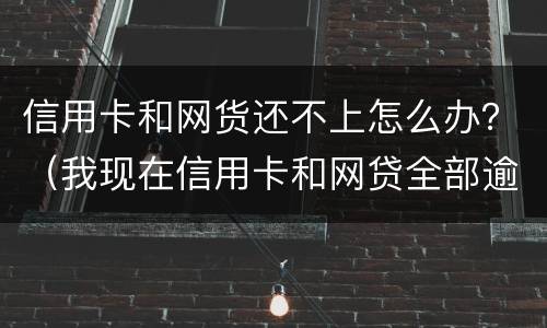 信用卡和网货还不上怎么办？（我现在信用卡和网贷全部逾期还不起了怎么办）