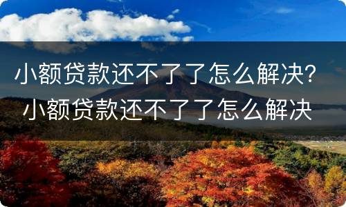 小额贷款还不了了怎么解决？ 小额贷款还不了了怎么解决