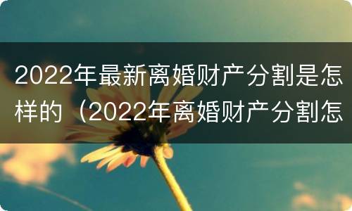 2022年最新离婚财产分割是怎样的（2022年离婚财产分割怎么分割）