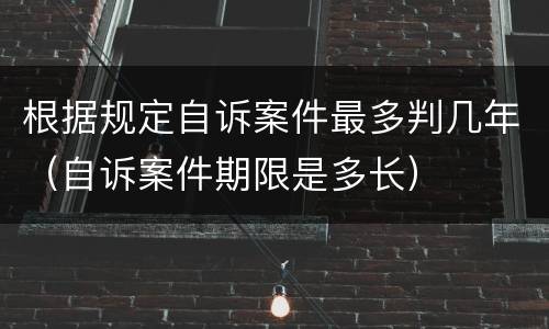 根据规定自诉案件最多判几年（自诉案件期限是多长）