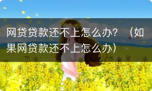网贷贷款还不上怎么办？（如果网贷款还不上怎么办）