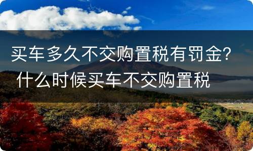 买车多久不交购置税有罚金？ 什么时候买车不交购置税