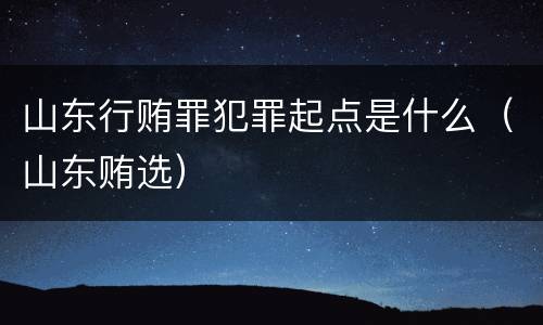 山东行贿罪犯罪起点是什么（山东贿选）