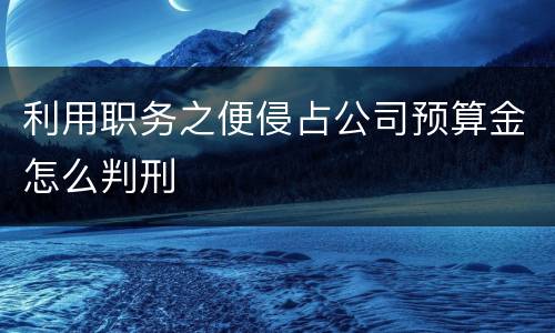 利用职务之便侵占公司预算金怎么判刑