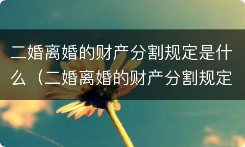 二婚离婚的财产分割规定是什么（二婚离婚的财产分割规定是什么样的）