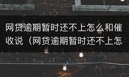 网贷逾期暂时还不上怎么和催收说（网贷逾期暂时还不上怎么和催收说还款）