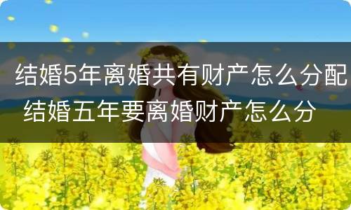 结婚5年离婚共有财产怎么分配 结婚五年要离婚财产怎么分