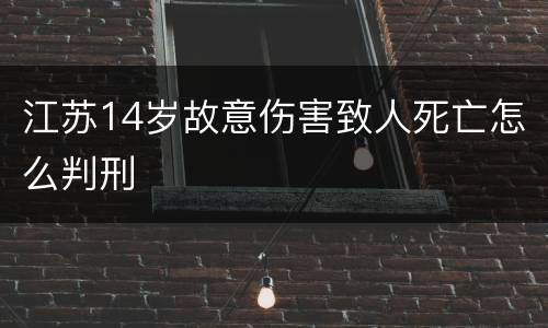 江苏14岁故意伤害致人死亡怎么判刑