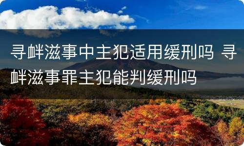 寻衅滋事中主犯适用缓刑吗 寻衅滋事罪主犯能判缓刑吗
