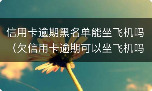 信用卡逾期黑名单能坐飞机吗（欠信用卡逾期可以坐飞机吗）