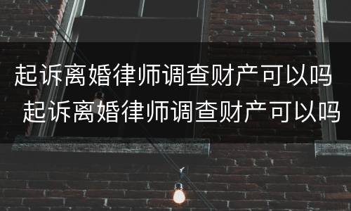 起诉离婚律师调查财产可以吗 起诉离婚律师调查财产可以吗