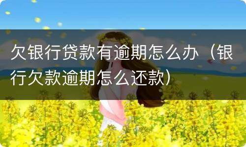 欠银行贷款有逾期怎么办（银行欠款逾期怎么还款）